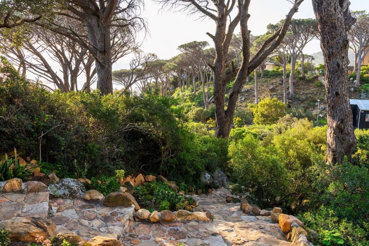 Lush Family Home In Prestigious Area Cape Town Luaran gambar